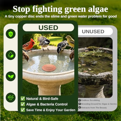Copper Disc for Bird Bath, 99.9% Pure Copper (Two Birds) | 3‑Point Stable Base, Fits Bird Baths & Bowls, Reduces Mineral Buildup, Gift for Bird Lovers, Outdoor Garden Use - color: Copper Two Birds