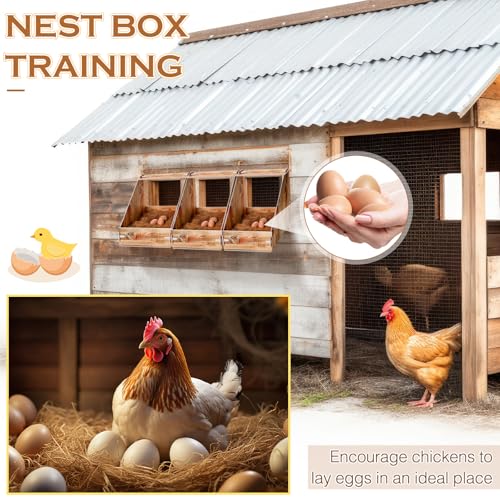 Teenyyou Plastic Chicken Nesting Box with 3 Nesting Pads and 4 Wooden Fake Egg for Laying Eggs Plastic Hen Nest Box Chicken Coop Laying Boxes for Hen Duck Poultry