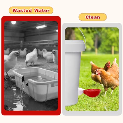 Chicken Waterer Cups 10/20 Packs Large Chicken Watering Cups Automatic Chicken Water Cups Tee Fittings Poultry Waterer Suitable for Duck, Chicks, Goose, with Mounting Hole Opener (10) | Leak-proof design，High-quality plastic，Quick Installation，Easy to cle