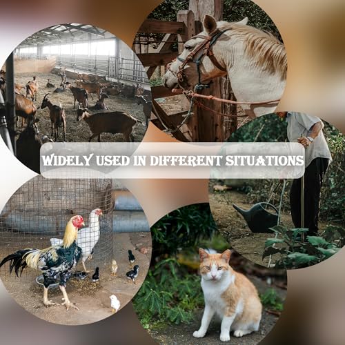 LUSTERING Chicken Poop Scooper, Chicken Coop Accessories, Detachable Chicken Poop Cleaning Tools,Chicken Accessories Poop Shovel for Chicken Coop Cleaning Supplies,(23 to 43.3inches) (Stainless Steel)