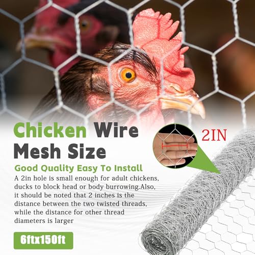 6FTx150FT Chicken Wire Netting 2IN Galvanized Wire Mesh Hexagonal for Poultry Garden Fencing Barrier - size: 6FTx150FT