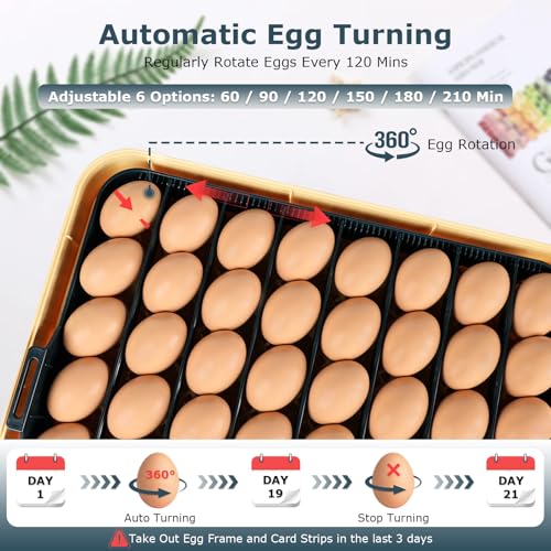 Incubators for Hatching Eggs, 56 Eggs Incubator with Egg Candler, Auto Egg Turner, Temp & Humidity Control, Hatch Day,360° Viewing for Chicken,Duck,Quail Eggs,Ideal for Farm,School and Lab,Blue&Yellow - size: 56 Eggs