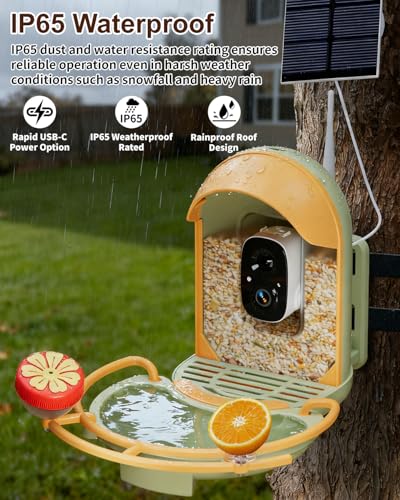Bird Feeder with Camera, Smart Birdfeeder with Cam Solar Powered, 2K HD Video, AI Identification, Instant Arrival Alerts, IP66 Bird Bath & Feeder,Gift for BirdLover (with BirdBath, Green) - color: Green, style: With BirdBath
