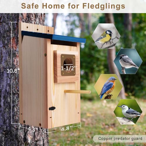 Wooden Outdoor Bird House with Copper Guard, Thickened Wood 2 Pack | 2 pack design, easy assembly, cottage nesting box for bluebird, finch, swallow, wren, chickadee garden use - size: 2 pack