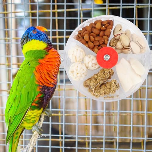 Bird Creative Foraging System Wheel Seed Food Ball Rotate Training Toy for Small and Medium Parrots Parakeet Cockatiel Conure (Clear) - color: Clear