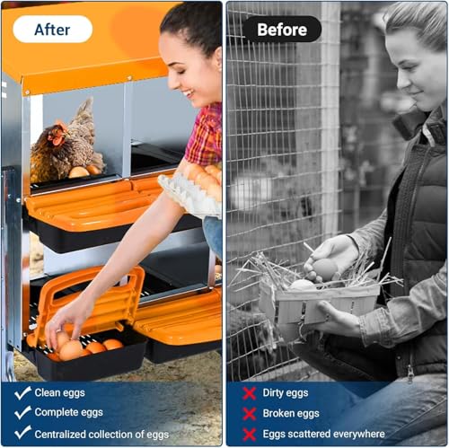 Chicken Nesting Box,Chicken Egg Laying Box with 10 Compartments, Roll Away Eggs Laying Boxes, Nesting Boxes, Indoor & Outdoor Use,Easy Egg Collection, Easy Cleaning - color: Orange, size: 10 holes with legs