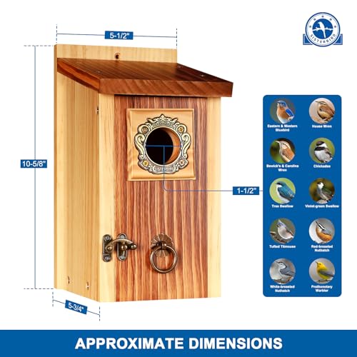 SISTERBIRD Premium Pack of 2 Bluebird Houses for Outside, Garden Bird Houses for Outdoor, Vintage Metal Predator Guard, Birdhouse Gift, Weatherproof Coating Bird Nesting, Assembly Required - color: Light Toast Vintage -- 2PK