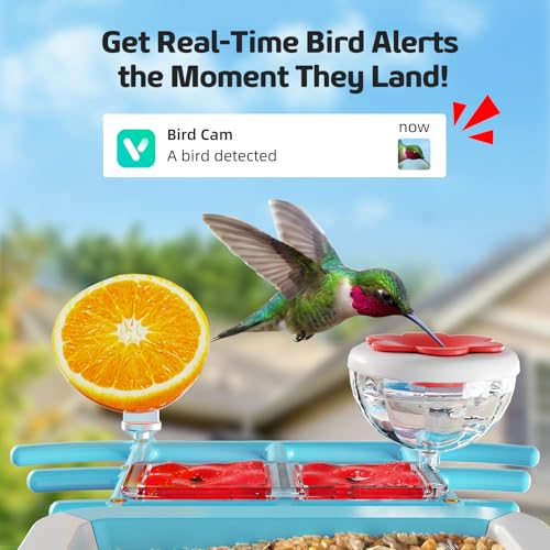 Bird Feeder with Camera 2K HD AI Smart Identify BirdSpecies Solar Panel Outdoors Birdhouse with Cam, Instant Arrival Alerts, Capture BirdVideo, Gifts for Mom Dad - color: Blue