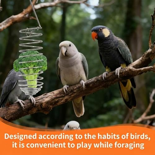 2 Pcs Spray Millet Treat Holder with Chains, Stainless Steel Bird Foraging Feeder Toy, Hanging Fruit Vegetable Basket for Parakeet Cockatiel Conure Macaw Parrot Cage Accessories (4-Pack Set)