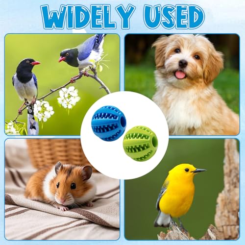 2Pcs Parrot Foraging Toys Bird Chew Balls, Interactive Feeder Treat Dispenser for Small Medium Birds Conure Parakeet Cockatiel, Long-Lasting Plastic Hanging Bell (Green & Blue)