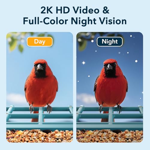 PeckCam® Bird Feeder with Camera Solar Powered 2K Live Video Auto Capture | AI Bird Species Identification, Instant App Alert, IP65 Waterproof, Easy Setup, Backyard Bird-Watching, Gift for Bird Lovers - color: Light Blue