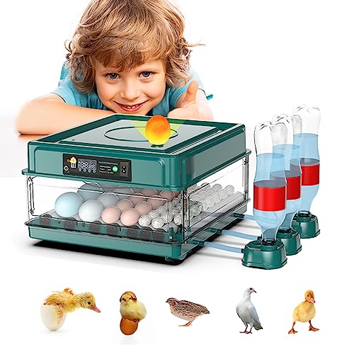 Intelligent Poultry Incubator - 38 Eggs, Automatic Turner & Temperature Control for Hatching Chicken, Quail, Bird & Duck Eggs - style: 38 EGGS