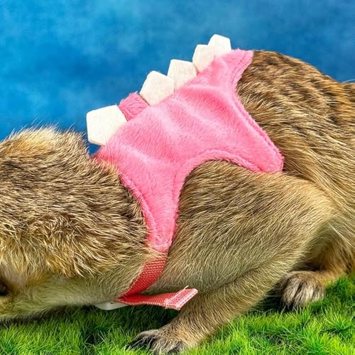 Ferret Harness and Leash Set Small Animals Vest Harness with Safe bell Dinosaur Shaped Walking clothes for Baby Rabbit Guinea pig Teacup Chihuahua Mouse and other small pet (Pink) - color: Pink