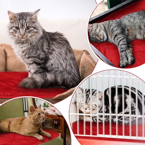 4 Pack Self Heating Cat Pad Self Warming Dog Mat Reflects Body Heat Extra Warm Thermal Pet Pad Washable Dog Cat Bed Crate Bed Mat Blanket (16 x 20 Inch,Red) - color: Red, size: 16 x 20 Inch