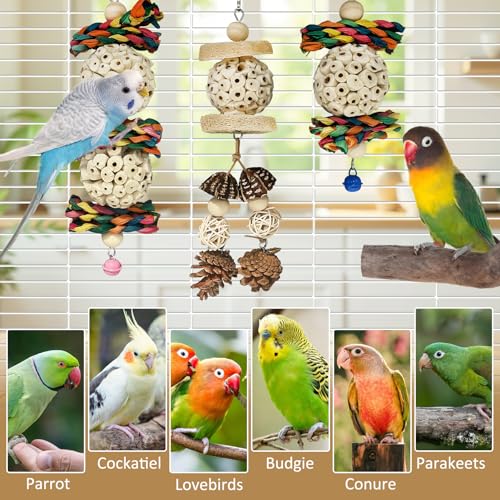 BNOSDM Hanging Bird Toy Sola Balls 3PCS Parrot Shredder Balls Natural Parakeet Foraging Toy Wood Bird Cage Chew Toys for Cockatiel, Budgie, Sun Conure, Quakers, Lovebirds (B) - color: Colourful