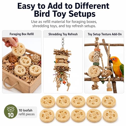 Parrot Shredding Chew Foraging Toys, 10pcs Loofah Chewing Parrot Toys, Bird Cage Shredder Toy, Bird Toy for African Grey Macaws Cockatoos Cockatiel Conure (10 Loofah Slices)