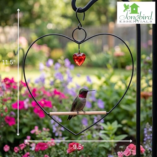 Tweet Heart Hummingbird Swing - Black - Wooden Dowel | Decorative Jewel Heart - Hummingbirds Guard Their Feeder - Black Metal Frame - color: Black