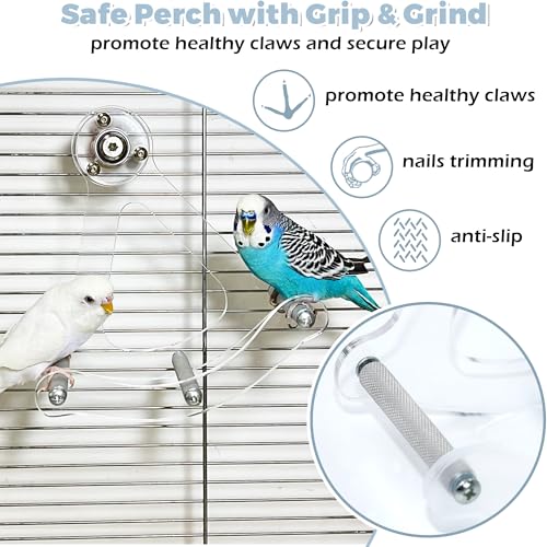 Bite-Resistant Acrylic Rocking Bird Nail Trimming Perch Stand | Easy to Clean, Interactive Bird Toys for Parakeets for Cage, Budgie Puzzle Toys for Parrots, Bird Enrichment Toy for Lovebird