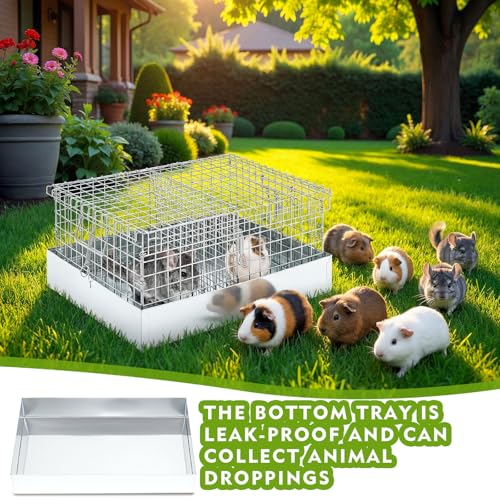 DoubleFill 2 Hole Cavy Transport Cage 16 x 14 x 8 Inch, Chinchilla Hamsters Chicks Rabbit Carrier for Travel Temporary Housing, Indoor Outdoor Pet Habitat Animal Enclosure