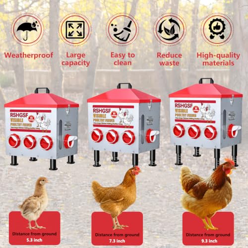 Stainless Steel Automatic Chicken Feeder, 55 lb, 8 Feeding Ports, Waterproof, Rodent Free, Outdoor Metal Poultry Feeder with Adjustable Anti-Slip Feet