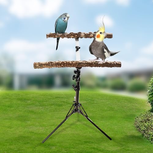 Oooct 16-63 Inch Height Adjustable Bird Perch Stand, Natural Pepper Wood Parrot Perch Toy, Bird Training Perch Stand, Indoor and Outdoor Bird Stands for Small to Medium Bird - size: Size B