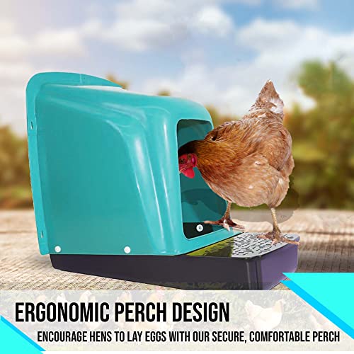 Nesting Boxes for Chicken Coops | Roll Away Hen House for Laying Eggs | Durable Plastic Chick Brooder Box with Perch & Pull Out Egg Tray for Poultry Farm | Chicken Coop Accessories (Pack of 5)