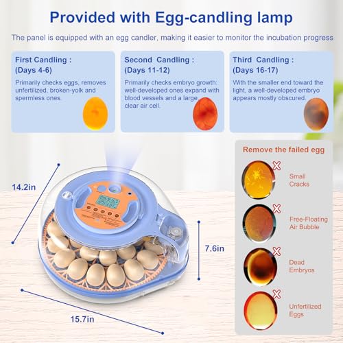 26 Eggs Incubator with Voice Control, Automatic Egg Turning & Humidity Control, °F/°C Switchable, Built-in Egg Candler, Poultry Hatcher for Chicken Duck Bird Eggs - Blue - color: Blue