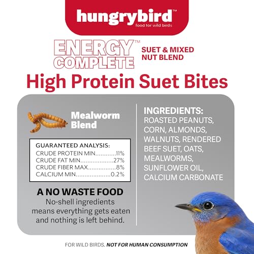 HUNGRYBIRD Energy Complete Diet, 7lb Mealworm Suet & Mixed Nuts | All-Season Feeding, Premium Wild Bird Food, No Waste, No Mess, Attracts a Wide Variety of Wild Birds