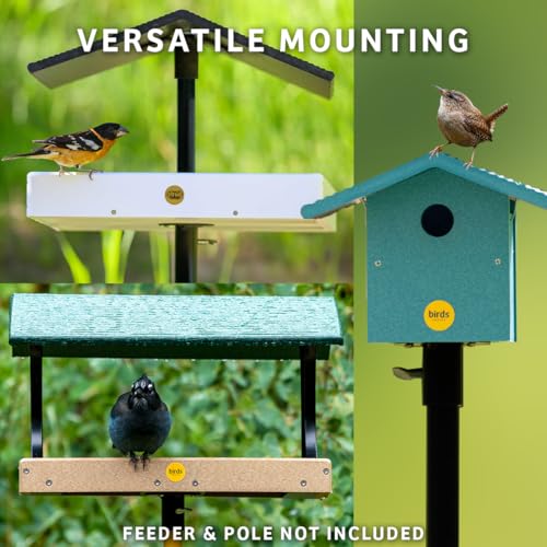 Birds Choice Mounting Flange for 1in Bird Feeder Pole | 3in Steel Disc | 1.0625in Center Opening, includes Thumbscrew and Screws for Secure Post or Deck Mounting