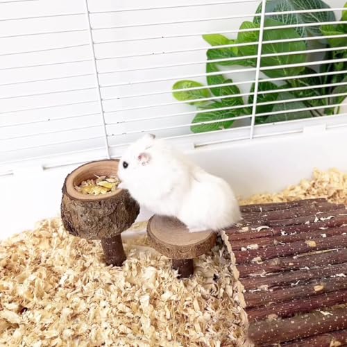 Apple Wood Feeding Bowl for Small Animals, Food Dish for Guinea Pig, Chinchilla Parrots - color: Stair Bowl