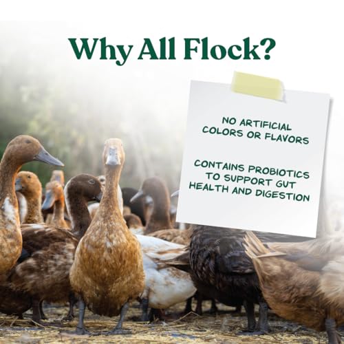 Manna Pro All Flock Crumbles with Probiotics, Chicken & Duck Food, 25 lb | Complete Feed for Mixed Flocks, 16% Protein, Chicken & Duck Feed, Added Probiotics for Digestion, Easy-to-Eat Crumbles - size: 25 Pound (Pack of 1)