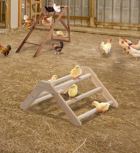 PETSFIT Baby Chick Roosting Bar, Anti-Rotation, Solid Wood, for Brooder | Fits Chicks and Small Birds, Thickened Wooden Perch, Safe for Brooder and Coop, Easy to Assemble and Clean, Non-Toxic Wood