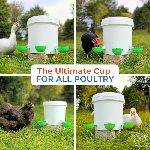 Lil'Clucker - Large Automatic Chicken Waterer Cups Suitable for Ducks, Geese, Turkeys, and Bunny Rabbit - Water Feeder Kit - Poultry Waterer (Green, 8 Pack) - color: Green, size: 8 Pack