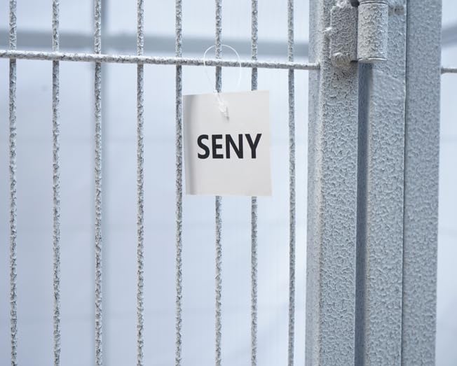 SENY Heavy Duty Large Walk-in Bird Aviary Cage, 79H x 86W x 62D inches, for Parrots, Macaws, Cockatoos, Reptiles, Dogs, Birds Flight Cage. (Silver White, Wire Size: 0.14") - color: Silver White, size: Wire Size: 0.14"