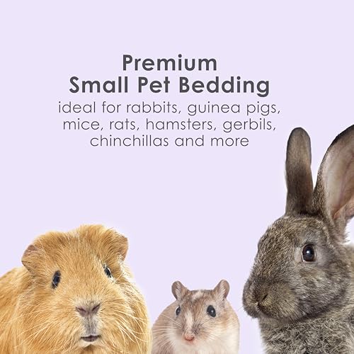 Kaytee Clean & Cozy Lavender Paper Bedding for Guinea Pigs, 24.6 Liters | Fresher habitats with rabbit bedding. Hamster bedding for small pets. 99% dust-free, absorbs 6x, lavender bedding - size: 24.6 Liters