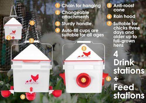 RentACoop Chick2Chicken 10lb Feeder & 2 Gallon Waterer Set - size: Set with Nipples and Auto-Refill Cups