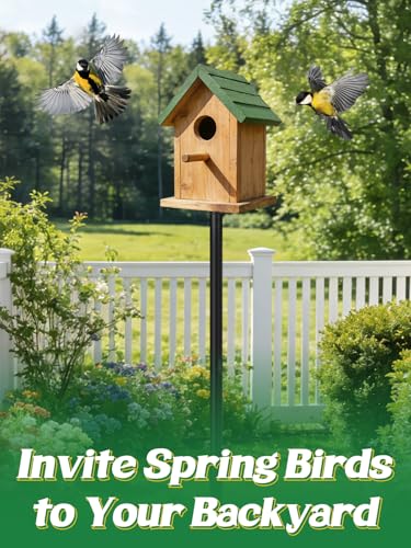 Bird Feeder Pole for Outdoors - 68" Adjustable Bluebird House Stand with 5-Prong Anchor, Heavy Duty Outside Smart Hummingbird Feeding Station Mounting Pole | With 5-Prong Anchor, Heavy-Duty Bluebird House Stand, Outside Smart Hummingbird Feeding Station M