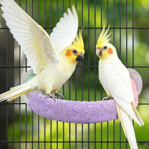 U Shape Parrot Perch Cage for 4cm Large Pad Fits Bird perches | Fits Horizontal Vertical Bars Washable Colorfast Resin Perch for Budgies, Cockatiels to Trim Nails Beak Naturally