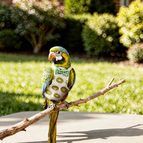 4 Pcs Bird Diaper, Parrot Diapers with Waterproof Inner | Reusable Flight Suit Cute Soft Bird Diaper Clothes for Parakeets Cockatiel Canary Monk Parakeet (M)