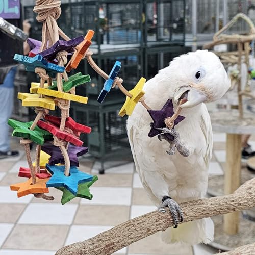 Birds LOVE Wood Stars & Leather Toy for Bird Cage Stand or Playgym, Bird Toys for Small to Medium Parrots, Sun Conures, Green Cheeked Conures, Quakers, Parakeets, Caiques, Cockatiels, African Senegals