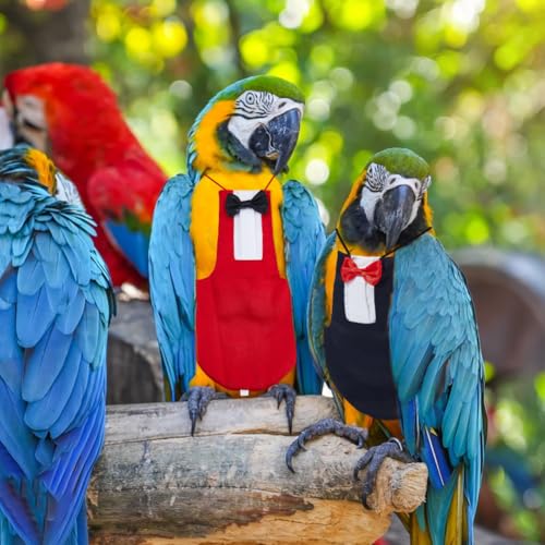 SUPERFINDINGS 2Pcs 2 Colors Parrot Flying Nappy Bird Diaper Harness Cockatiel Tuxedo Flight Suite Reusable Parrot Nappy Clothes Costume for Conure Macaw Budgies Parakeet