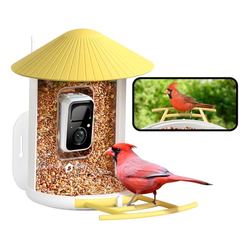 NETVUE by Birdfy Smart Bird Feeder with AI Camera, Auto Capture Videos & Live Steam, Wireless Wildbird Watching, Outdoor Backyard Birder(AI by Subscription) Yellow - color: Yellow