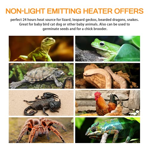 Simple Deluxe 100W Ceramic Heat Lamp Reptile Heat Emitter Heater Lamp Bulb No Light with Free Digital-Thermometer, for Pet Brooder Coop Chicken, Turtle Lizard Snake Aquarium Tank, White - size: 1-Pack+Thermometer, style: White