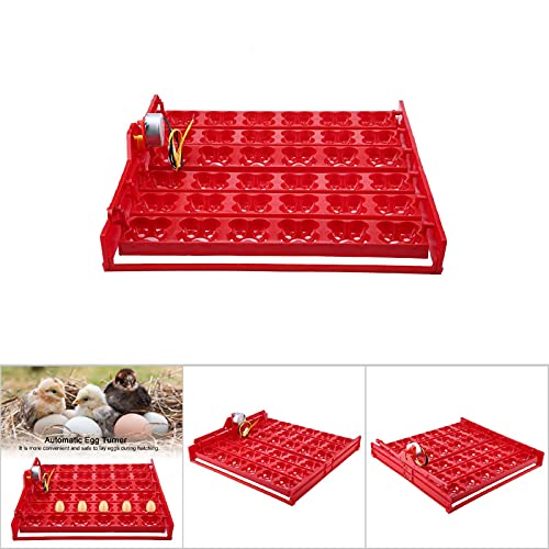 Egg Turner, Chicken Incubators, Egg Hatcher Tray, Laboratory Goose for Duck Peacock Chicken