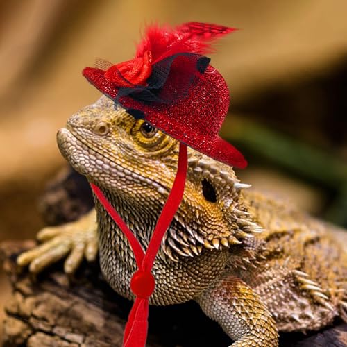 6-Pack Mini Chicken Hats for Hens, Dolls Hats, Cute Decorations | Cotton & Polyester, 2.76 in (7 cm), Adjustable Chin Strap, Fits Small Animals - style: Flower-Fine-Glossy