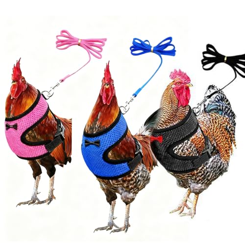 Chicken Harness and Leash Set Adjustment mesh Duck Harness Vest，Black M | breathable mesh harness,adjustable straps,sturdy leash,fit chicken,duck,goose,rooster,parrot,kitten,tiny dog training walking - color: Black, size: M( Chest 18.1-20.5")