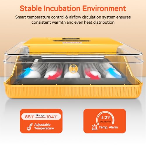 25 Eggs Incubator, Incubators for Hatching Eggs, with Temperature & Humidity Control, Automatic Egg Turning, Egg Candler, for Hatching Quail, Chicken, Duck, Goose Eggs