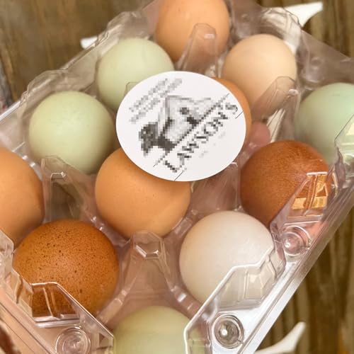40 Pack Plastic Egg Cartons Bulk, 12 Count Chicken Duck Eggs, 1 Dozen Jumbo Clear Refrigerator Egg Trays
