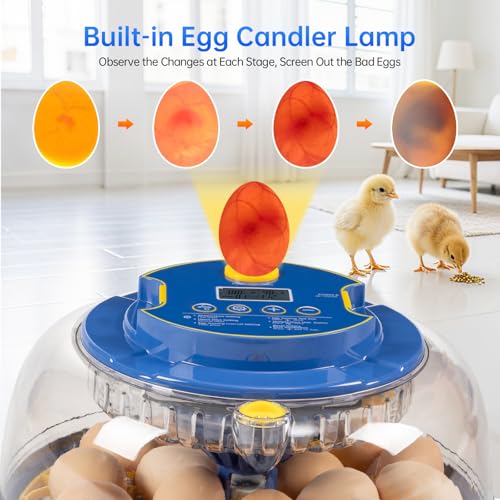 18 Egg Incubator for Hatching Eggs – Smart Auto Turner & Humidity Control, 360° View, Built-in Candler | Hatching Kit with Chick Helmet for Chicken, Duck, Quail | Ideal for Home & Classroom