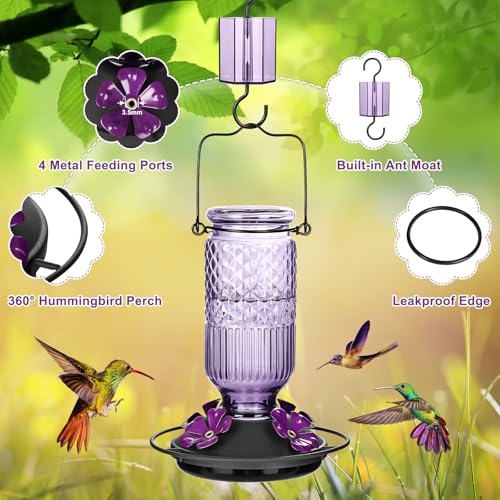Glass Hummingbird Feeder for Outdoors Hanging, 16 oz Leak-Proof Nectar Feeder with Bee Guards & Ant Moat, 4 Metal Flower Feeding Ports, 360° Perch Ring, Easy Refill & Clean, Purple - color: Purple